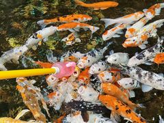 -波塞冬海底世界