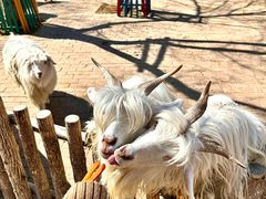 -水上乐园·欢乐世界