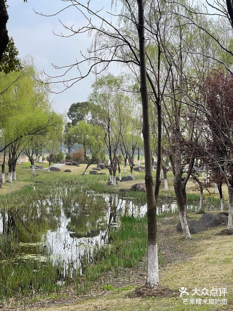 苏城最值得来的阳澄湖半岛度假区