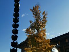 -香积寺