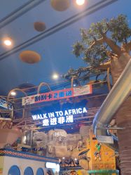 -卡通尼·Safari非洲探索乐园·生日会(金桥国际商业广场店)