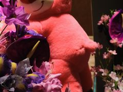 -松临·铁板烧&Omakase(神农店)