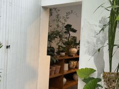 -自由生长植物工作室(深港花卉中心店)