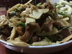 -南雄冯屋银杏山庄