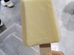 -钟薛高(南头古城店)