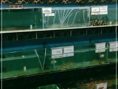 -考记泥焗鸡农庄·海鲜(北洛秘境店)