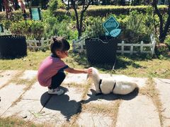 -上海滴水湖皇冠假日酒店