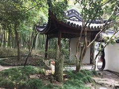 -汇龙潭