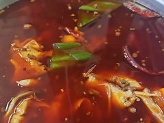 花鲢-重庆老船夫冷锅鱼(黄金路店)