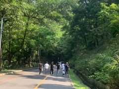 -红花湖景区