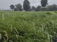 -汉长安城未央宫国家考古遗址公园