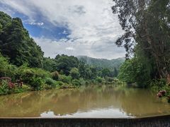 -深圳仙湖植物园