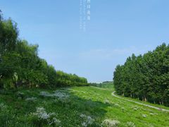 -洨河生态公园