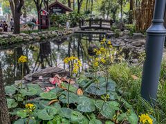 -成都市活水公园