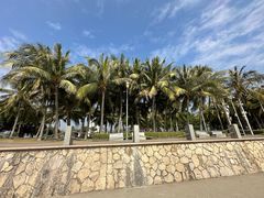 -深圳湾公园(南山区)