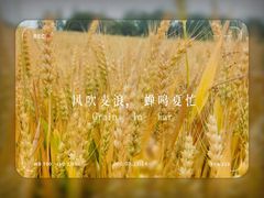 -蜀绣公园