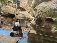 -成都动物园