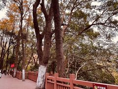 -岳麓山风景名胜区