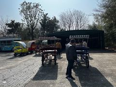 -苏州太湖国家湿地公园