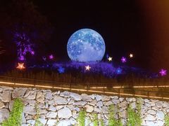 -大塘金香草谷