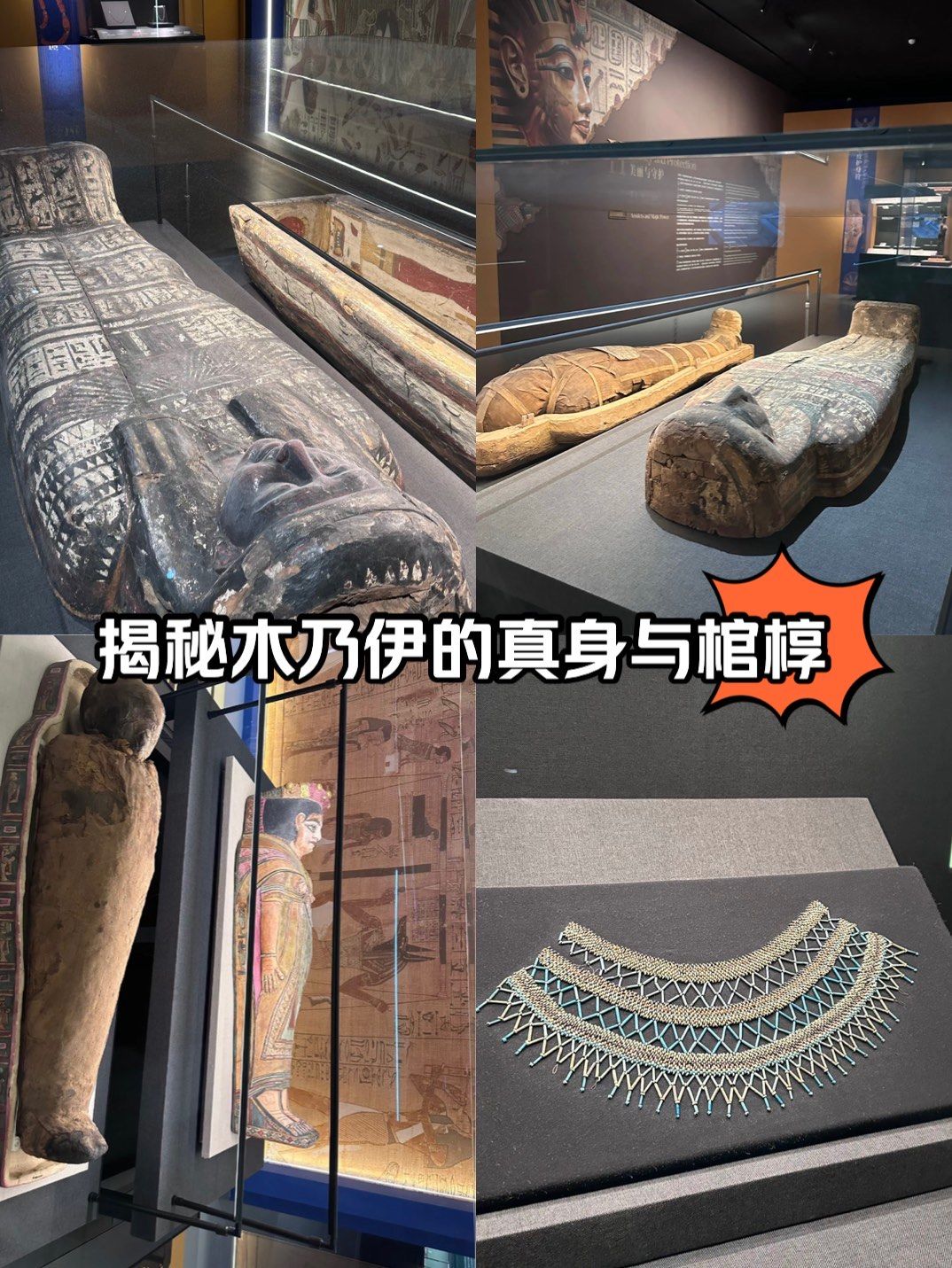 木乃伊之谜mummy life and death in ancient egypt
✅古埃及人在