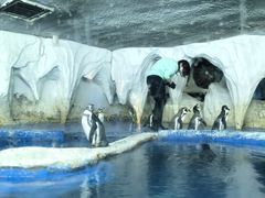 -太平洋海底世界