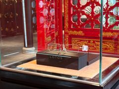 -大视光学•LINDBERG林德伯格•全球手工眼镜集合店(王府井店)