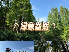-桃花岛公园