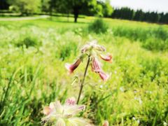 -汉景帝阳陵博物院