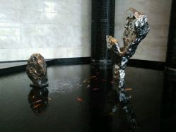 -静安洲际酒店·宴会厅