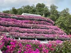 -深圳仙湖植物园