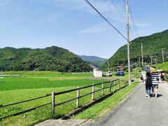 -岚山嵯峨野观光小火车