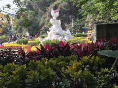 -金鸡山公园