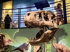 -国家自然博物馆