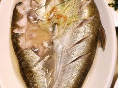 -沈厅酒家(周庄店)