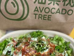 -油梨树 AVOCADO TREE(亮马桥店)