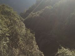 -花岩国家森林公园