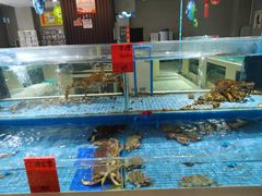 水产区-湖滨国际酒店中餐厅·宴会厅