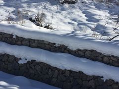 -太子岭滑雪场