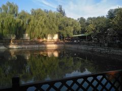 -尚庄度假村·庭台树下·户外烧烤·团建CS·轰趴营地(上庄水库店)