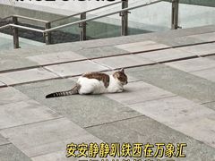 -沈阳铁西万象汇