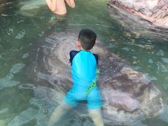 -天目湖涵田半山温泉