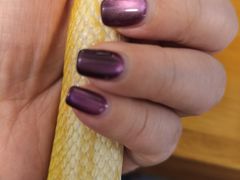 -吉丁鸟咖·异宠·寄养