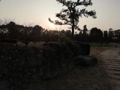 -秀丽东方