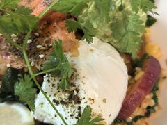 -gaga(深圳南山益田假日广场店)