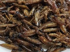 -夏家大锅台炖鱼馆