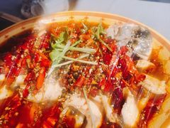 午后沸腾鱼-午后庭院