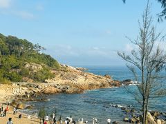 -广东惠东海龟国家级自然保护区