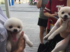 -1点点(银座和谐广场店)