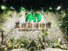 -野象谷景区
